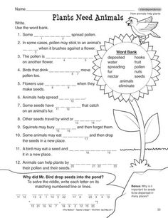 plants need animals worksheet with answers and pictures to help students understand the plant