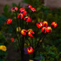 some red and black flowers with lights on them in the middle of green plants outside