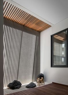 a dog is standing on the floor in front of a window with vertical blinds that are covering it