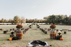 several wooden barrels with flowers in them sitting on the grass next to some hay bales