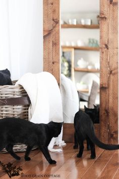 two black cats standing in front of a mirror on the floor next to a wicker basket