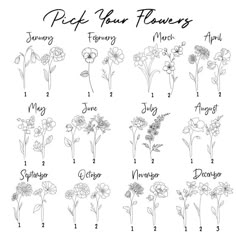 flowers that are labeled in the names of each flower, and their corresponding parts to which one?