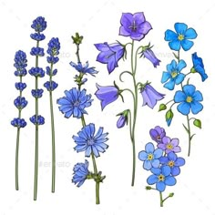 blue flowers and plants on a white background - flowers & plants nature / animals characters