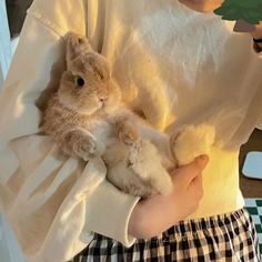 a person holding a stuffed animal in their arms while wearing plaid pants and a white shirt