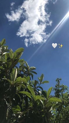 two white hearts floating in the sky above some trees