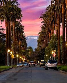 palm trees line the street as cars drive down it at dusk in hollywood, california