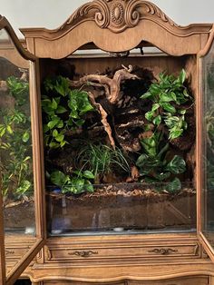 an old fashioned wooden cabinet with plants in the bottom and side panels on each side