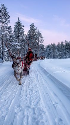 a person riding in a sleigh pulled by two reindeers through the snow