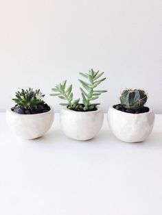 three white ceramic planters with succulents in them