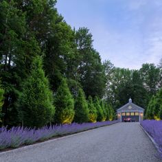 an empty road surrounded by trees and purple flowers in the foreground is a pavilion with a gazebo on it