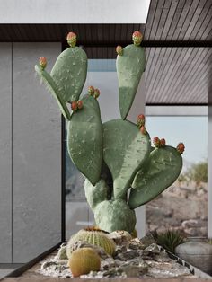 a large cactus in front of a house