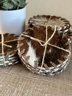 two brown and white coasters sitting on top of a table next to a potted plant