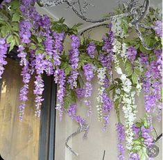 purple and white flowers hanging from the side of a building