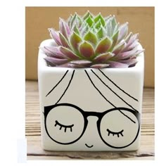 a planter with a face painted on it and a succulent in the middle