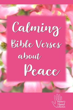 pink flowers with the words, calming bible verses about peace on it in white lettering