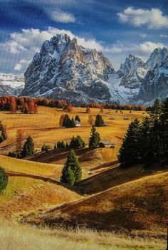 the mountains are covered in snow and brown grass, with trees on either side of them