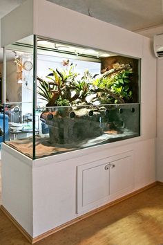 a fish tank with plants in it sitting on top of a counter next to a window