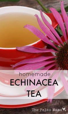 a red and white plate with a pink flower on it next to a cup of tea