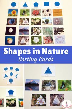 some pictures are arranged on the wall with words that read shapes in nature sorting cards