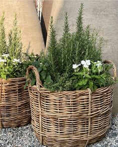 two wicker baskets filled with plants sitting on top of a gravel covered ground next to pillows