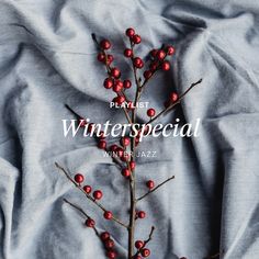 the cover of playlist winter special featuring red berries on a gray background with text