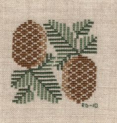 two pine cones on a white background with green leaves and brown dots in the middle