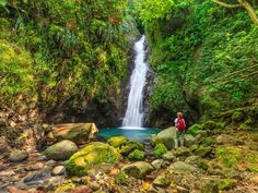 a man standing in front of a waterfall surrounded by green plants and rocks with water running down it