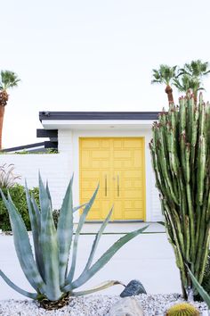 cactus and succulents in front of a yellow door on a white house