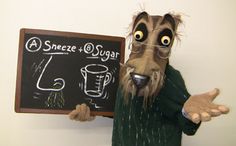 a man in glasses and a dog mask holding a chalkboard with the words sneee & sugar written on it