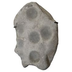 a rock with holes in it on a white background