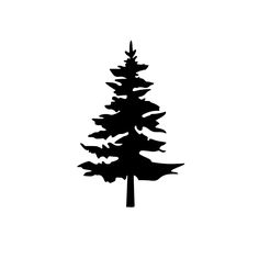 a black and white silhouette of a pine tree