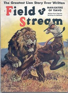 an old book cover for field and stream with two men attacking a large animal in the grass