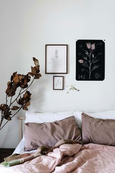 an unmade bed with two framed pictures on the wall next to it and dried flowers