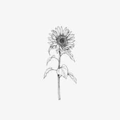 Sunflower Tattoo Thigh, Sunflower Tattoo Simple, Sunflower Tattoo Sleeve, Sunflower Tattoo Shoulder, Model Tattoo, Tattoos Mandala, Sunflower Drawing, Boho Styl