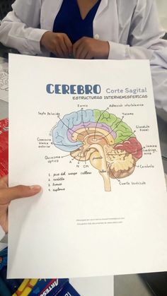 a person holding up a paper with a diagram of the human brain on it's side