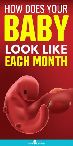 the cover of how does your baby look like each month?, with an image of a