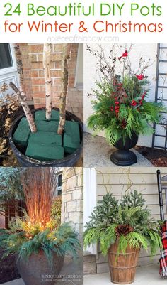 four different christmas potted plants with text overlay that says, 24 beautiful diy pots for winter and christmas