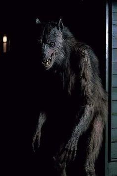 an animal that is walking out of a door in the dark with it's mouth open