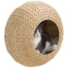 a gray and white cat sitting in a woven ball