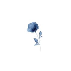 a single blue flower on a white background