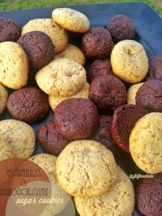 chocolate and vanilla sugar cookies on a blue platter with grass in the back ground