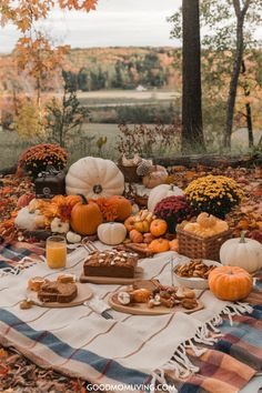 Thanksgiving Aesthetic Vintage, November Party Themes, Thanksgiving Food Table Display, Fall Themed Food, 90s Thanksgiving, Fall Picnic Ideas, Creative Thanksgiving Ideas, Thanksgiving Theme Party, Friendsgiving Aesthetic