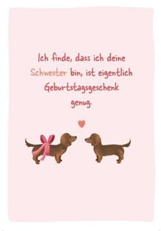 two dachshund dogs with pink bows are facing each other in front of a pink background