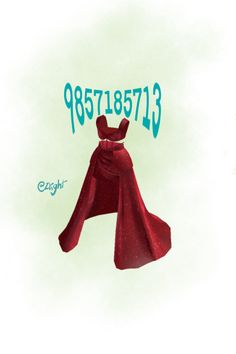 an image of a red cloak with the number nine on it's back side