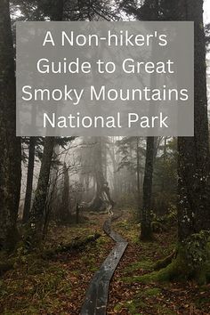 Misty forest with wooden path winding through the trees with the words A Non-hiker's Guide to the Great Smoky Mountains National Park Tennessee Family Vacation, Travel Tennessee, Asheville Hikes, Gatlinburg Tennessee Vacation, Mountains Tennessee, Smokey Mountains Vacation, Smoky Mountains Tennessee, Mountains Vacation, Gatlinburg Vacation