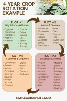 the four year crop example is shown in this graphic above it's description, which includes