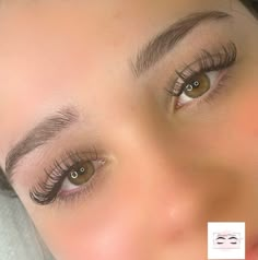 Long Full Classic Eyelash Extensions, Long Classic Eyelash Extensions, Classic Lash Extensions, Best False Eyelashes, Classic Lashes, Lash Extensions Makeup