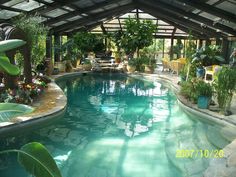 an indoor swimming pool surrounded by greenery and potted plants in the middle of it