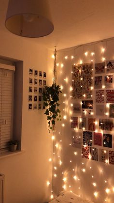 a bedroom with string lights and pictures on the wall above it, along with a potted plant