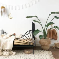 a bedroom with a bed, plant and other items on the floor next to it